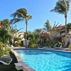 Casalina Garden 2 Blocks To Palm & Kitesurfing School Appartement